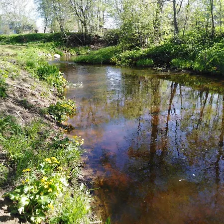 Creek * Mustvee