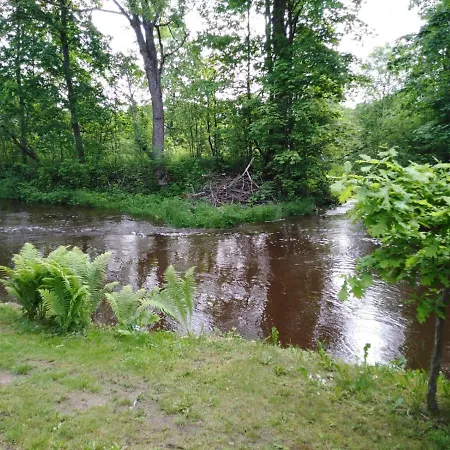 Деревянный коттедж Creek Муствеэ