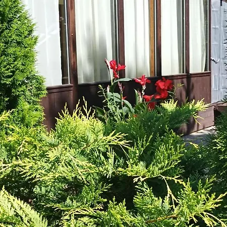 Domek letniskowy Creek Mustvee