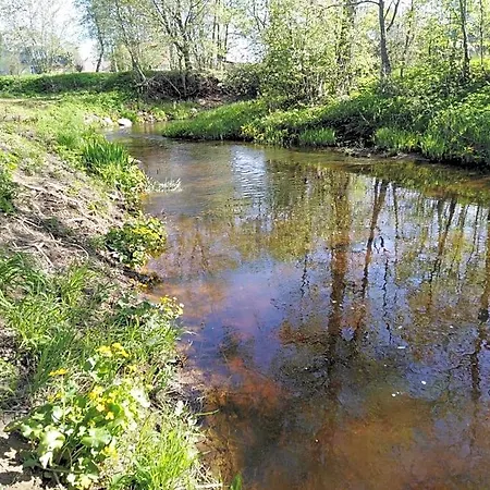 Creek Муствеэ