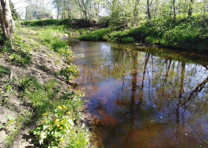 Creek * ماستفي