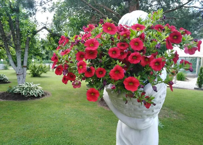 Creek * ماستفي