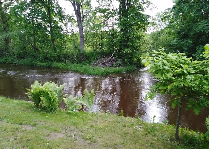 Domek letniskowy Creek Mustvee