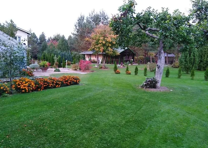 Creek Domek letniskowy Mustvee